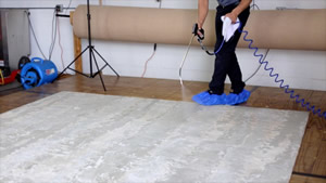 Nashville Rug Cleaning will apply fabric protector at the end of a rug cleaning - area rug cleaning, oriental rug cleaning and all custom rugs.