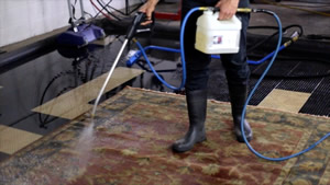 Nashville Rug Cleaning will pre-condition rugs before rug cleaning - area rug cleaning, oriental rug cleaning and all custom rugs.