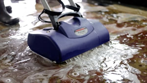 Nashville Rug Cleaning will choose either a minimal moisture procedure or complete submersion cleaning procedure for your rug cleaning - area rug cleaning, oriental rug cleaning and all custom rugs.